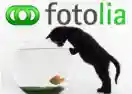 fotolia.com